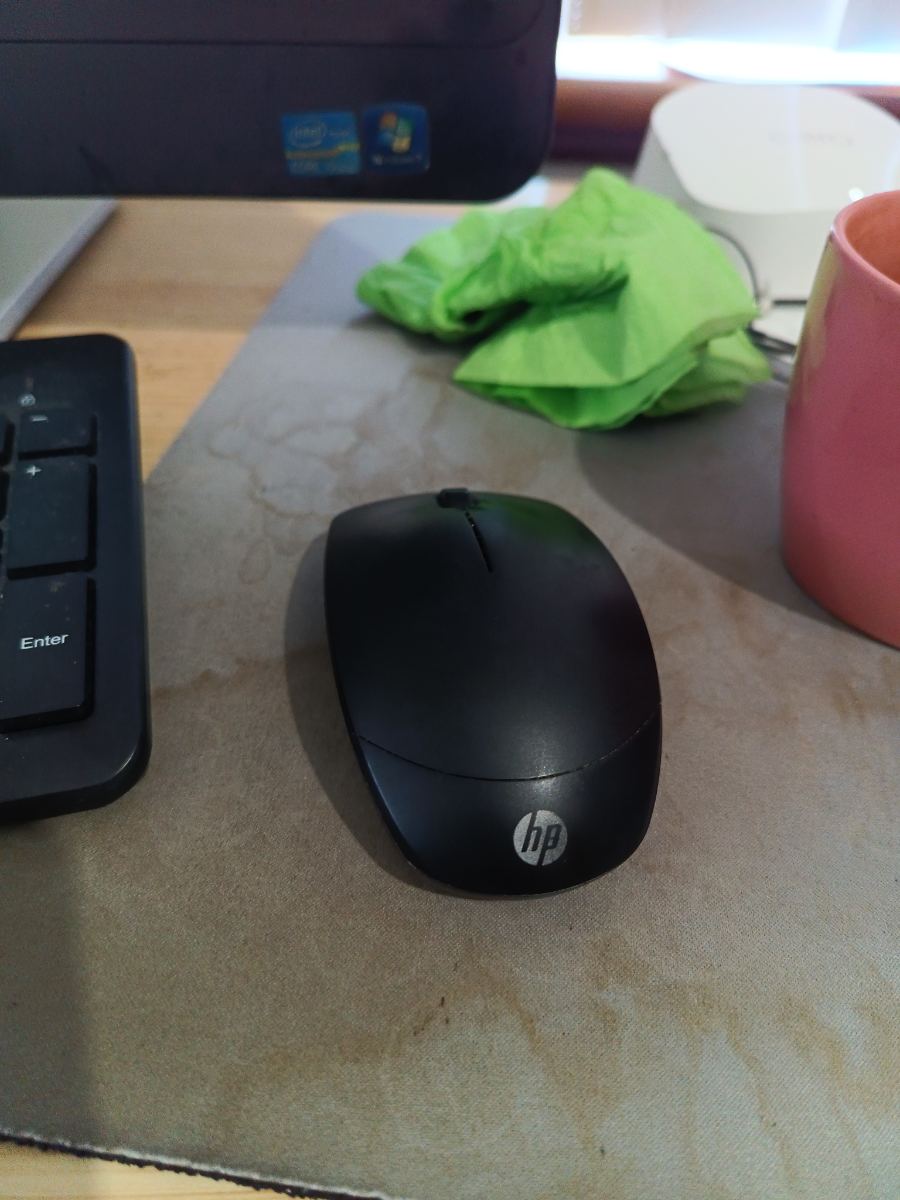 HP Mouse Wireless House Trained